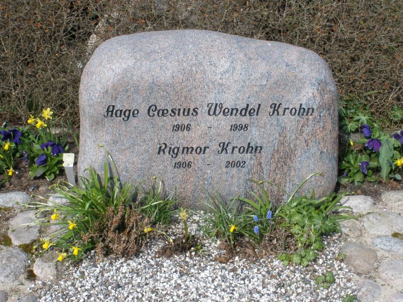 Rigmor Krohn.JPG